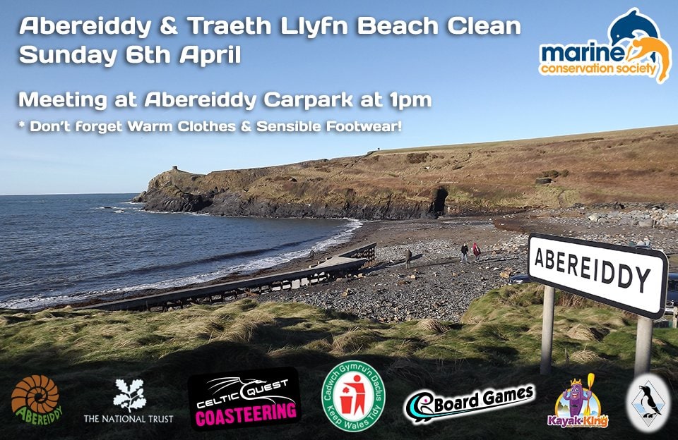 Beach Clean at Abereiddy & Traeth Llyfn ~ Sunday 6th April at 1pm