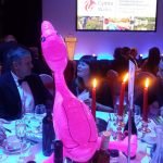 Feebee Flamingo at National Tourism Awards for Wales 2015