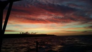 Bonus catching many stunning Pembrokeshire Sunrises